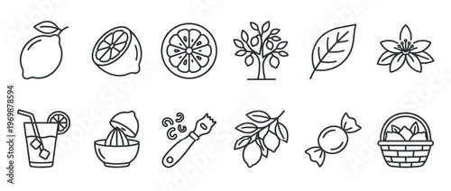 Collection of fresh lemon and citrus fruit icons, featuring whole, sliced, tree, flower, juice, zest, and candy elements.