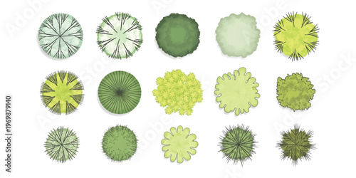 A collection of architectural tree top view symbols for landscape design and site planning projects
