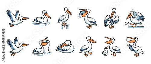 Pelicans cartoon collection showing various activities like flying, swimming, fishing, walking, and caring for a chick, in a fun doodle style.