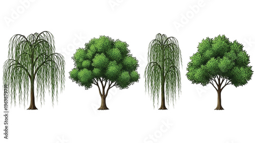 Green leafy vegetables and herbs in a garden setting