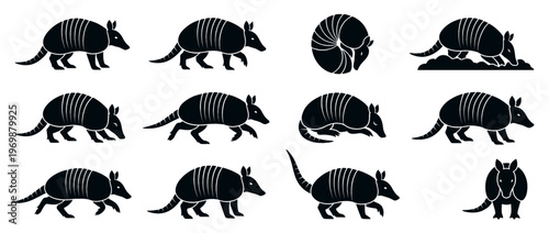 Armadillo animal mammal wildlife creature silhouettes in various poses including walking, digging, and curled up, representing diverse behaviors.