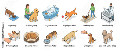 Dogs engaging in various daily activities and care routines, including eating, playing, grooming, and vet visits, illustrating pet ownership responsibilities.
