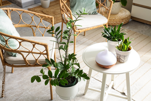 Air humidifier with green p...