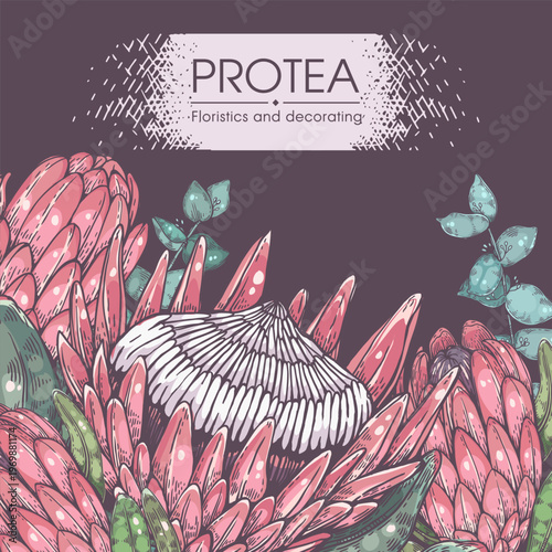 Composition of protea flower