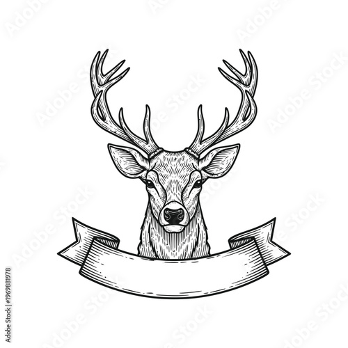 A deer head with antlers and a banner isolated on white background, Vector, illustration