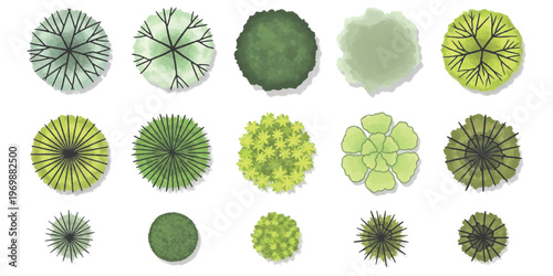 A collection of various top down tree illustrations for architectural landscape design projects.