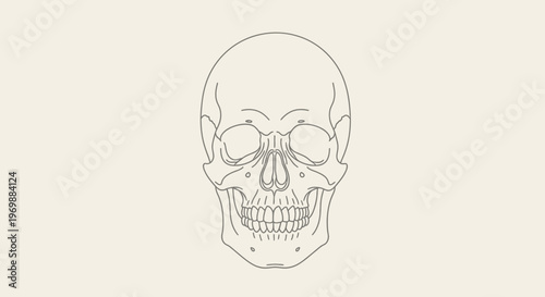 Minimalist Human Skull Outline Drawing, Simple Line Art