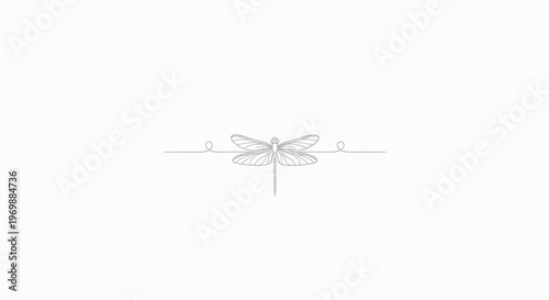 Elegant Dragonfly Line Art Divider