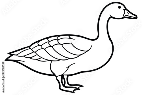 goose bird silhouette line art vector illustration with a white background