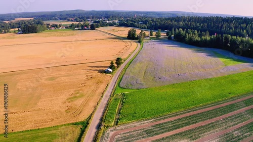 Aerial View of Expansive Farmland Fields with Varied Crop Patterns and Scenic Landscape in Finland