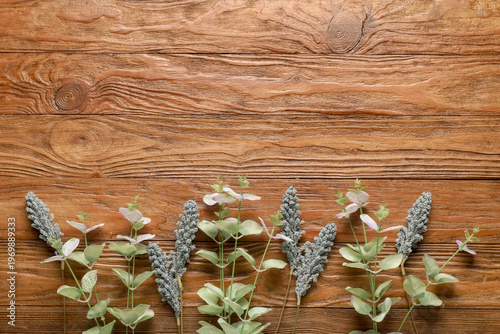 Artificial eucalyptus branc...