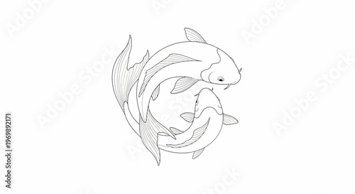Duo Koi Fish Yin Yang Symbol Outline Illustration