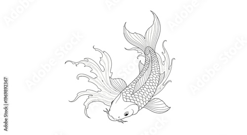 Elegant Koi Fish Line Art Illustration