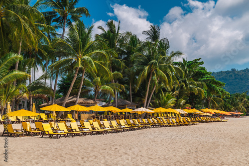Tableau sur toile Long row of yellow sun loungers and umbrellas on sandy tropical beach with palm
