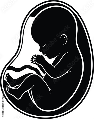 Human fetus silhouette inside womb pregnancy development prenatal baby concept isolated on white background vector illustration medical design style