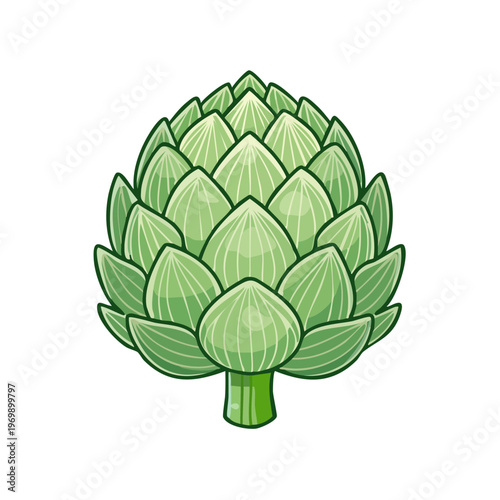 Fresh Green Artichoke Vegetable Healthy Food Illustration Botanical Design