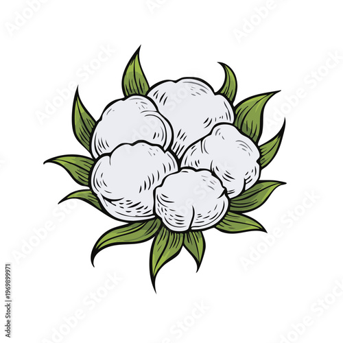 Stylized illustration of a cluster of fluffy white cotton bolls surrounded by vibrant green leaves
