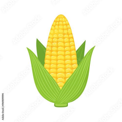 Illustration of a ripe yellow corn cob with green leaves