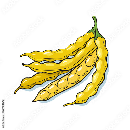 Fresh ripe yellow snap beans with visible round seeds inside bursting with vibrant color