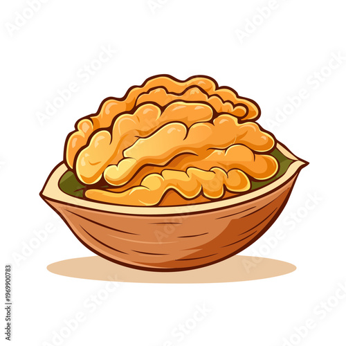 Half of a Walnut Shell Filled with Fresh Walnut Kernels, Healthy Snack and Ingredient Illustration