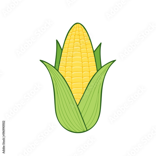 Fresh ear of yellow corn with green husk in a simple flat illustration