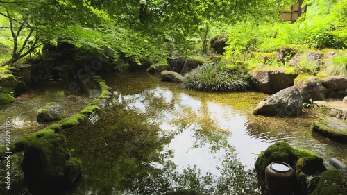 A tranquil Japanese garden pond