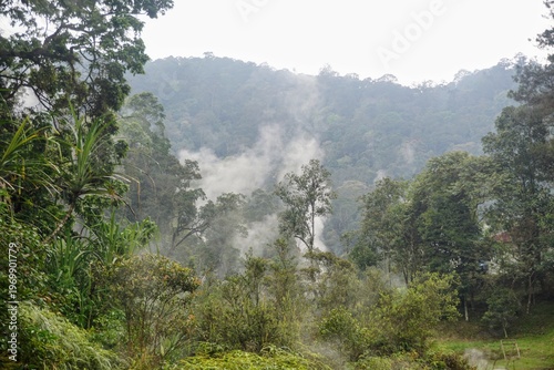 Wallpaper Mural Steam rising from a water source in a natural environment with dense trees, concept of geothermal activity and natural beauty. Torontodigital.ca