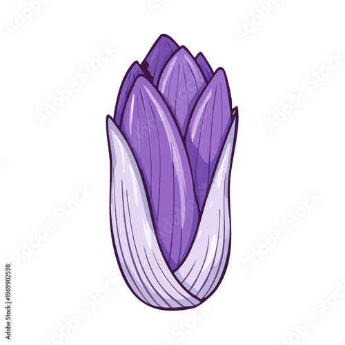 Purple unopened flower bud with white base and purple petals in stylized illustration