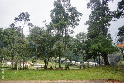 Wallpaper Mural Modern camping site with comfortable tents surrounded by forest and meadow, ideal for nature tourism. Torontodigital.ca