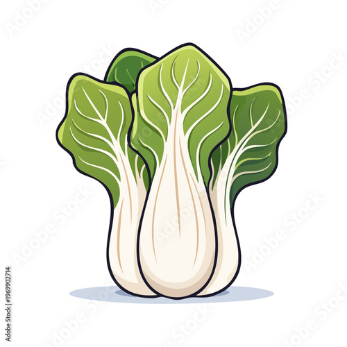 Fresh Bok Choy Vegetables Vibrant Green and White Healthy Eating Produce Illustration