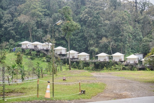 Wallpaper Mural Modern camping site with comfortable tents surrounded by forest and meadow, ideal for nature tourism. Torontodigital.ca