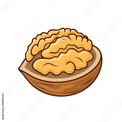 Healthy Organic Walnut Half with Rich Texture and Natural Shape