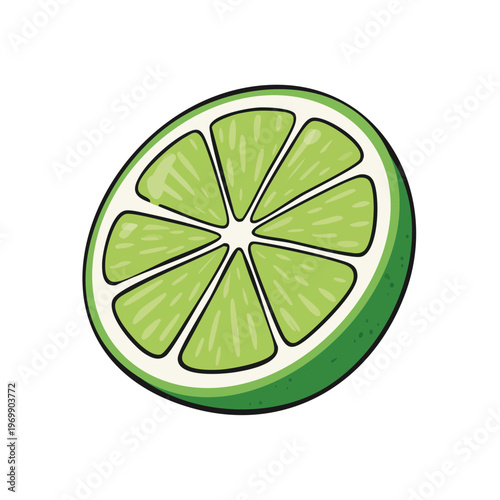Bright green lime slice with radiating segments and white rind detailed illustration