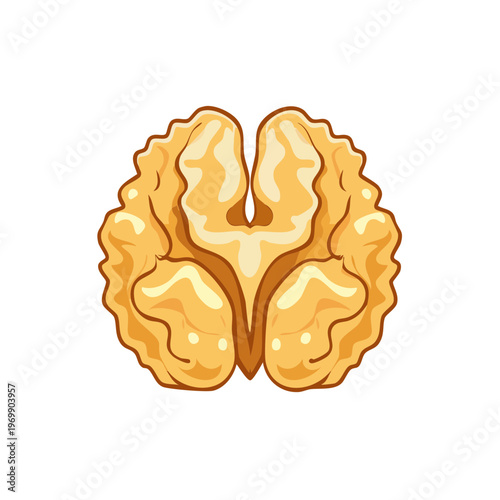 Stylized brain shaped walnut half with detailed texture and golden brown color representing intellect and healthy food