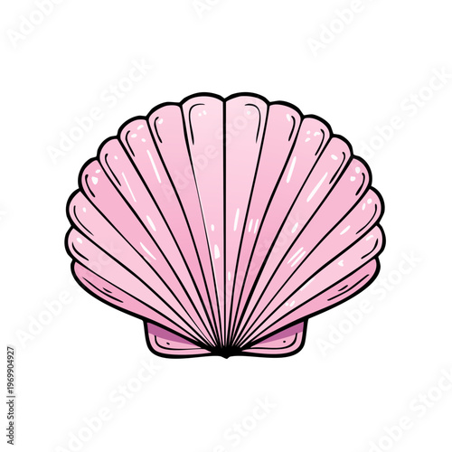 Pink Scallop Shell with Delicate Ribs and Outline Isolated on White