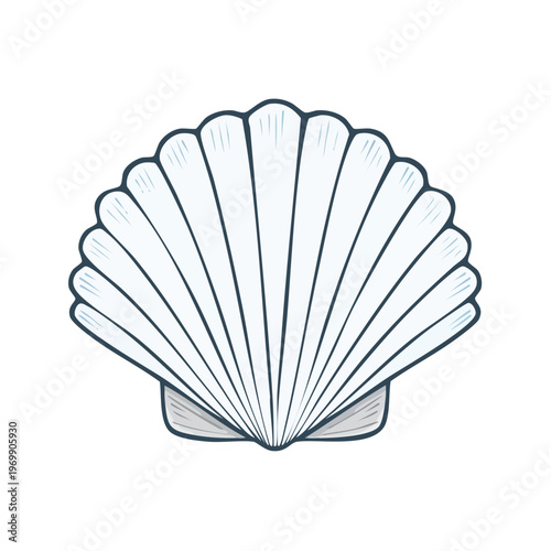 Stylized Illustration of a White Scallop Shell with Delicate Lines