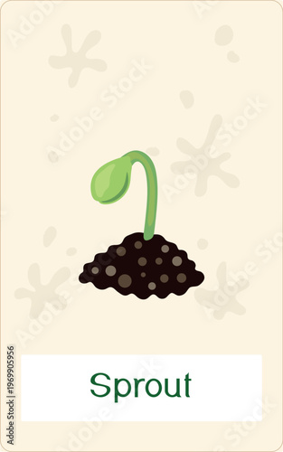 Educational flashcard: Green sprout growing from soil. Seedling germination process. Botanical vector illustration for kids biology and nature study