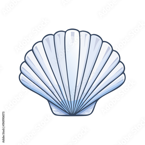 Stylized white scallop seashell illustration with ribbed texture and blue accents