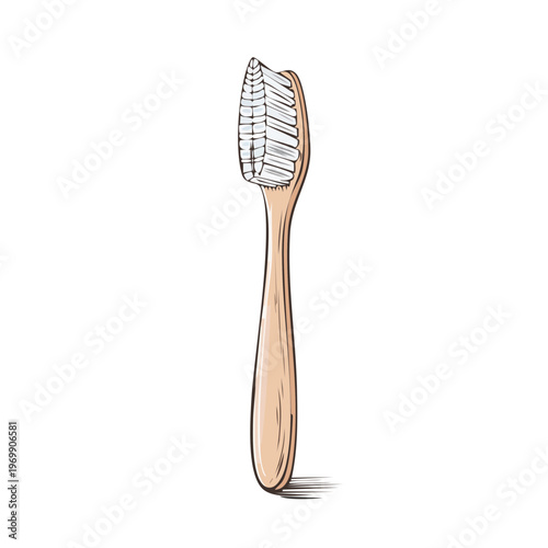 Wooden toothbrush with white bristles illustrated in a minimalist style for dental hygiene and oral care concepts