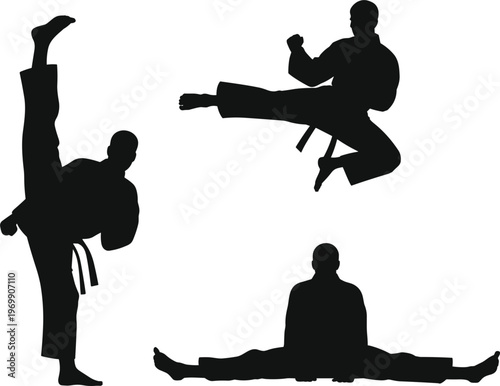Martial arts silhouettes set featuring high kick jump kick and split pose in dynamic combat sport minimal black vector design