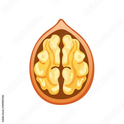 Half Walnut with Kernel Inside, Top View, Isolated on White