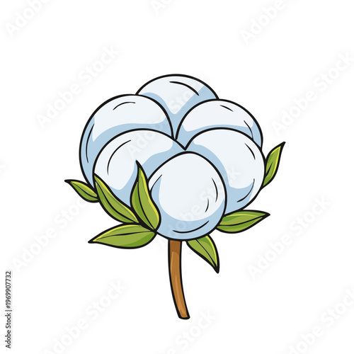 Illustration of a fluffy cotton boll with green leaves on a brown stem