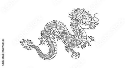 Intricate line drawing of a traditional chinese dragon in a dynamic pose with detailed scales claws and mane for cultural and mythological themes.