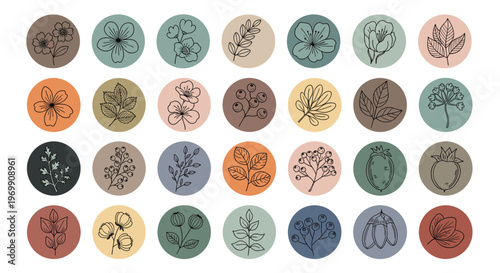 Collection of thirty social media highlight icons featuring different hand drawn botanical sketches of flowers and leaves on muted color circles.