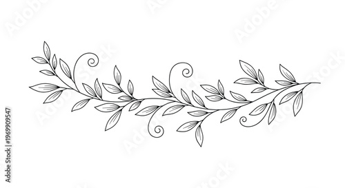 Minimalist line drawing of a leafy vine branch with simple black outlines on a white background for clean botanical and nature designs.