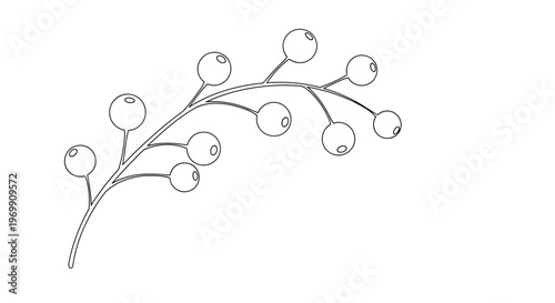 Simple line art illustration of a curved berry branch with round fruit and delicate stems for minimalist seasonal or holiday graphic design.