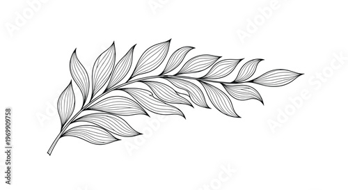 Elegant black and white line drawing of a single leafy branch with detailed foliage for refined botanical illustrations and nature themes.