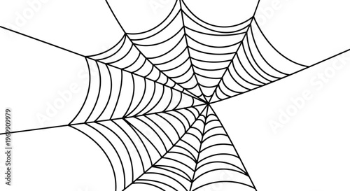 Detailed black line illustration of a large spider web radiating from the center on a plain white background.