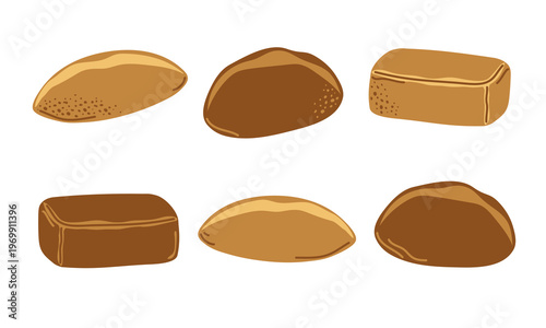 Bread set with fresh loaves and buns.  White and brown wheat bread, homemade buns and pastry for bakery shop menu, sticker, icon, kitchen decor and healthy food market vector