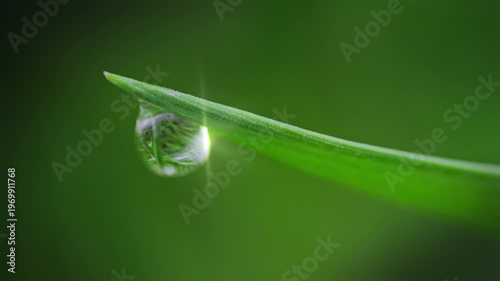 Macro Water Drops Green Leaf Rack Focus Slider. Nature Background Eco Wellness Web Design